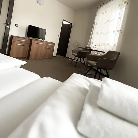 Hotel Pod Radnici 3*