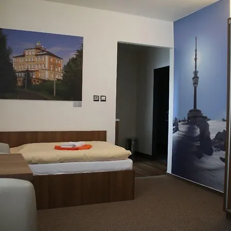 Hotel Pod Radnici 3*