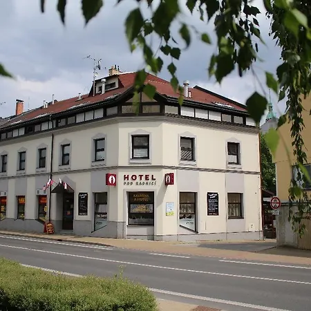 Pod Radnicí 3*