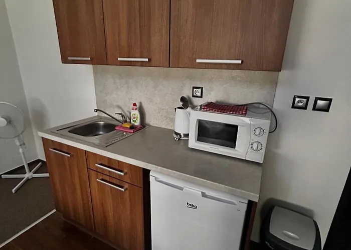Otel Pod Radnici 3*
