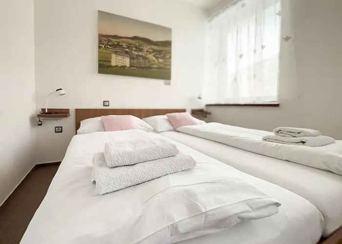 Hotel Pod Radnicí 3*